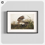 2-38_John-James-Audubon_blk