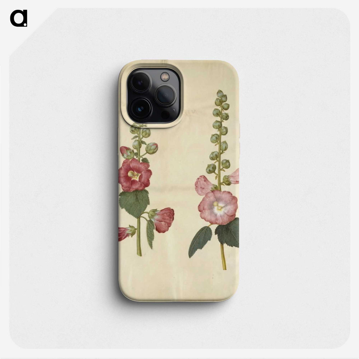2-38_Maria-Sibylla-Merian_phone
