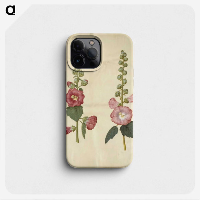 2-38_Maria-Sibylla-Merian_phone