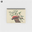 2-38_Mark-Catesby_memo