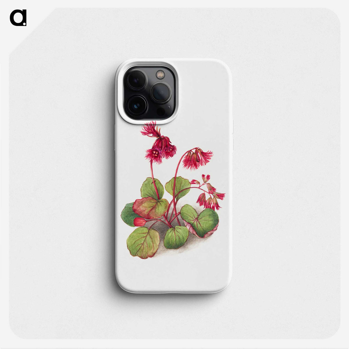 2-38_Mary-Vaux-Walcott_phone