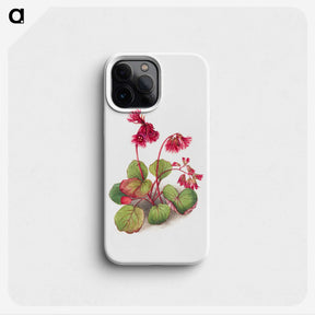 2-38_Mary-Vaux-Walcott_phone
