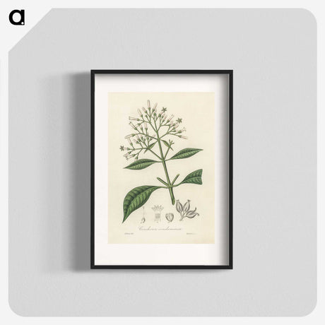 2-38_Medical-Botany_blk