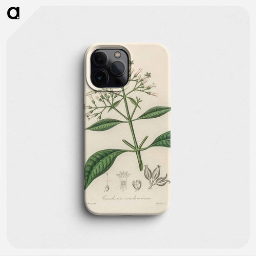 Cinchona condaminea Illustration
 - 薬用植物学 Phone Case.