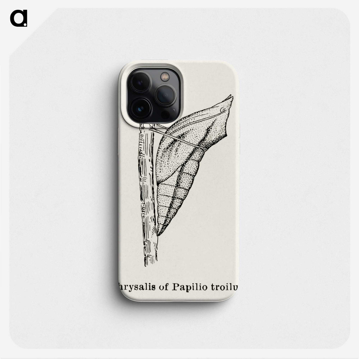 2-38_Moths-and-Butterflies-of-the-United-States_phone