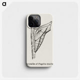 2-38_Moths-and-Butterflies-of-the-United-States_phone
