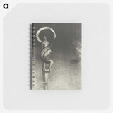 2-38_Odilon-Redon_memo