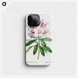 2-38_Pierre-Joseph-Redoute_phone