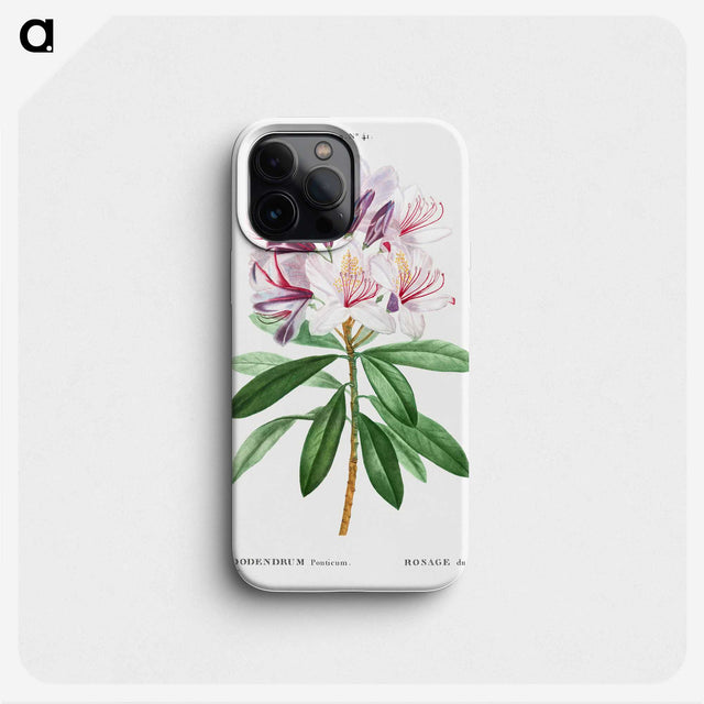 2-38_Pierre-Joseph-Redoute_phone