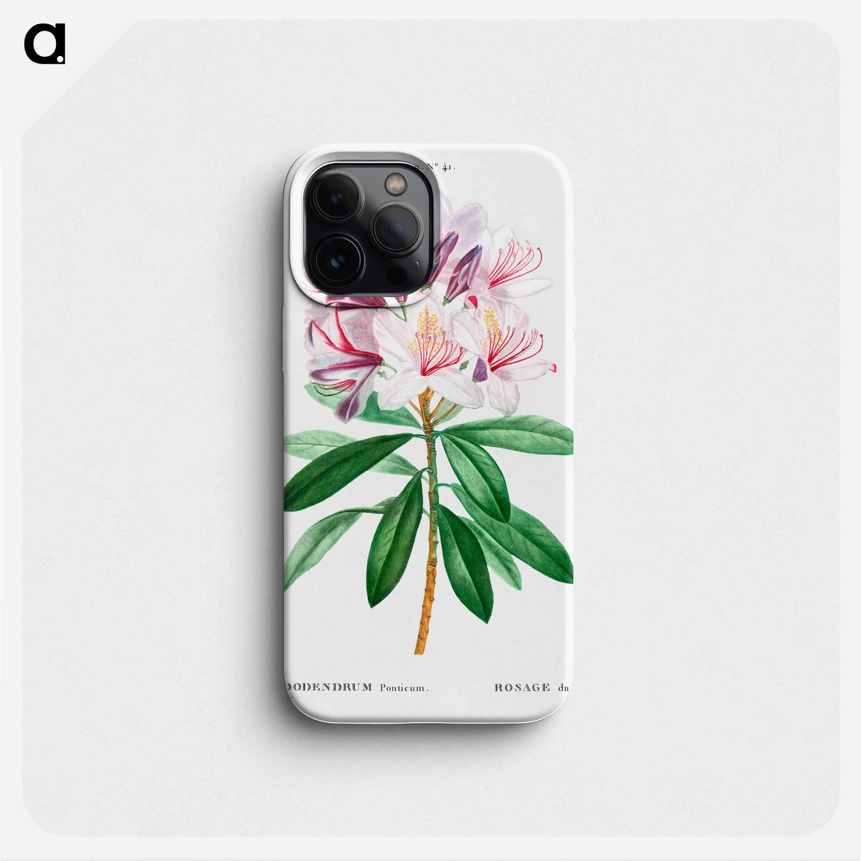 Rhododendron ponticum - Pierre Joseph Redouté Phone Case.