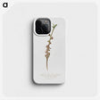 2-38_Pomona-Italiana_phone