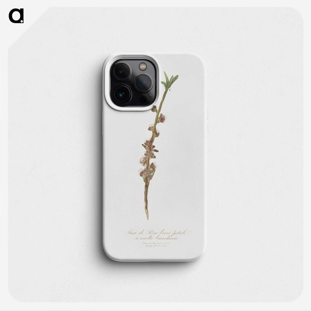2-38_Pomona-Italiana_phone