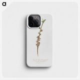 2-38_Pomona-Italiana_phone