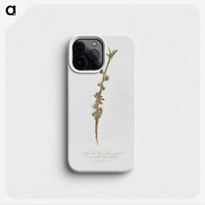 2-38_Pomona-Italiana_phone