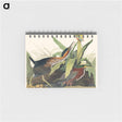 アートメモ帳-Green Heron from Birds of America
 - アメリカの鳥たち Memo.