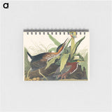 アートメモ帳-Green Heron from Birds of America
 - アメリカの鳥たち Memo.