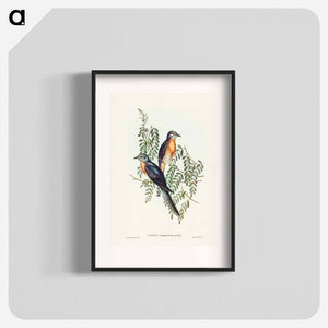 オーストラリア