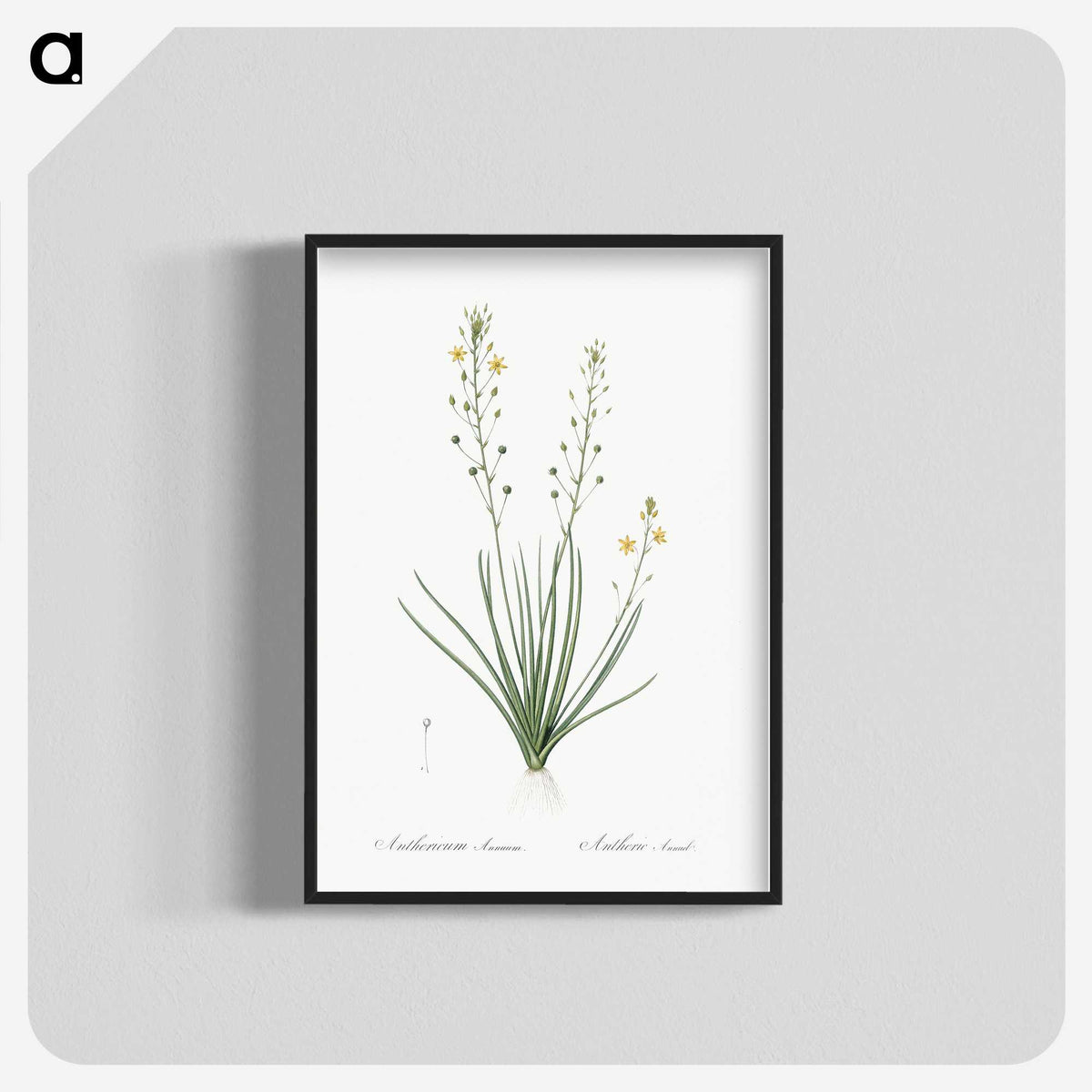 2-38_The-Lilies_blk-crop