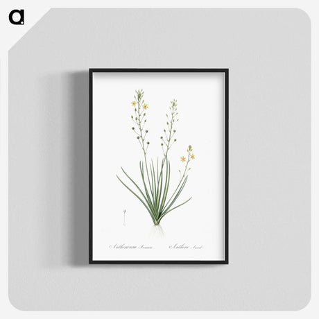 2-38_The-Lilies_blk-crop