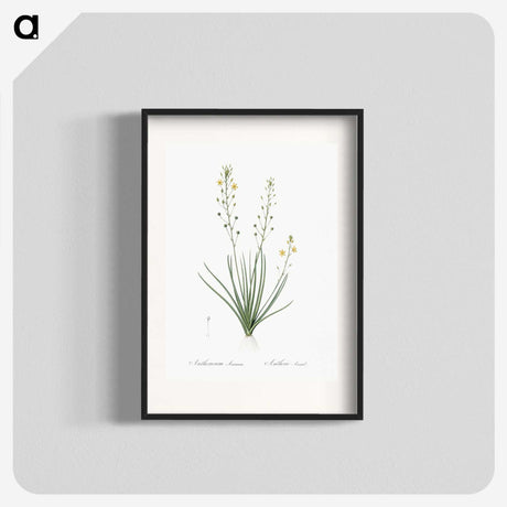 2-38_The-Lilies_blk