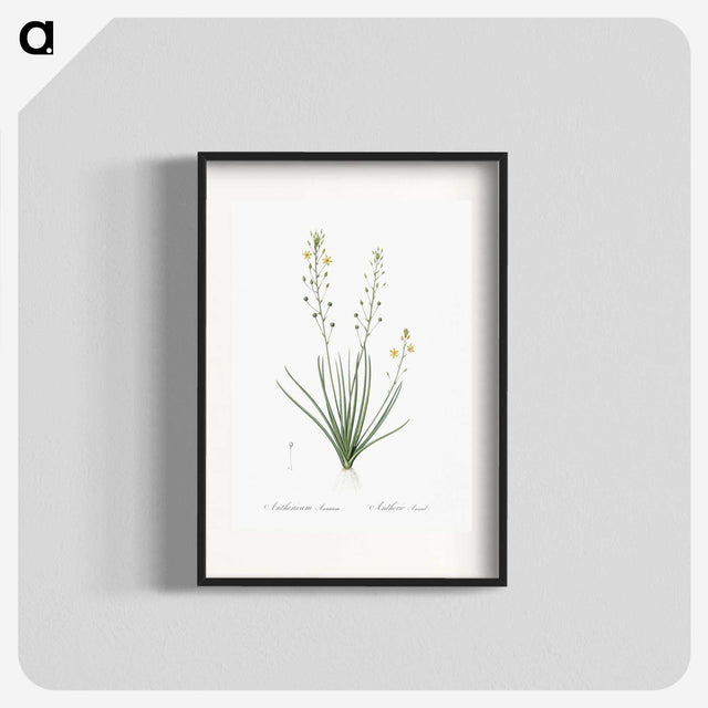 2-38_The-Lilies_blk