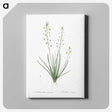 2-38_The-Lilies_canvas