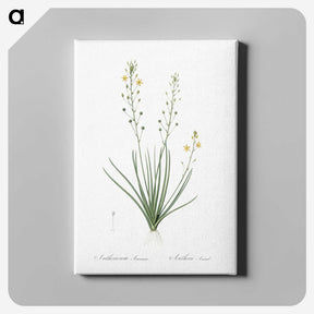 2-38_The-Lilies_canvas