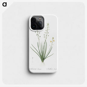 2-38_The-Lilies_phone