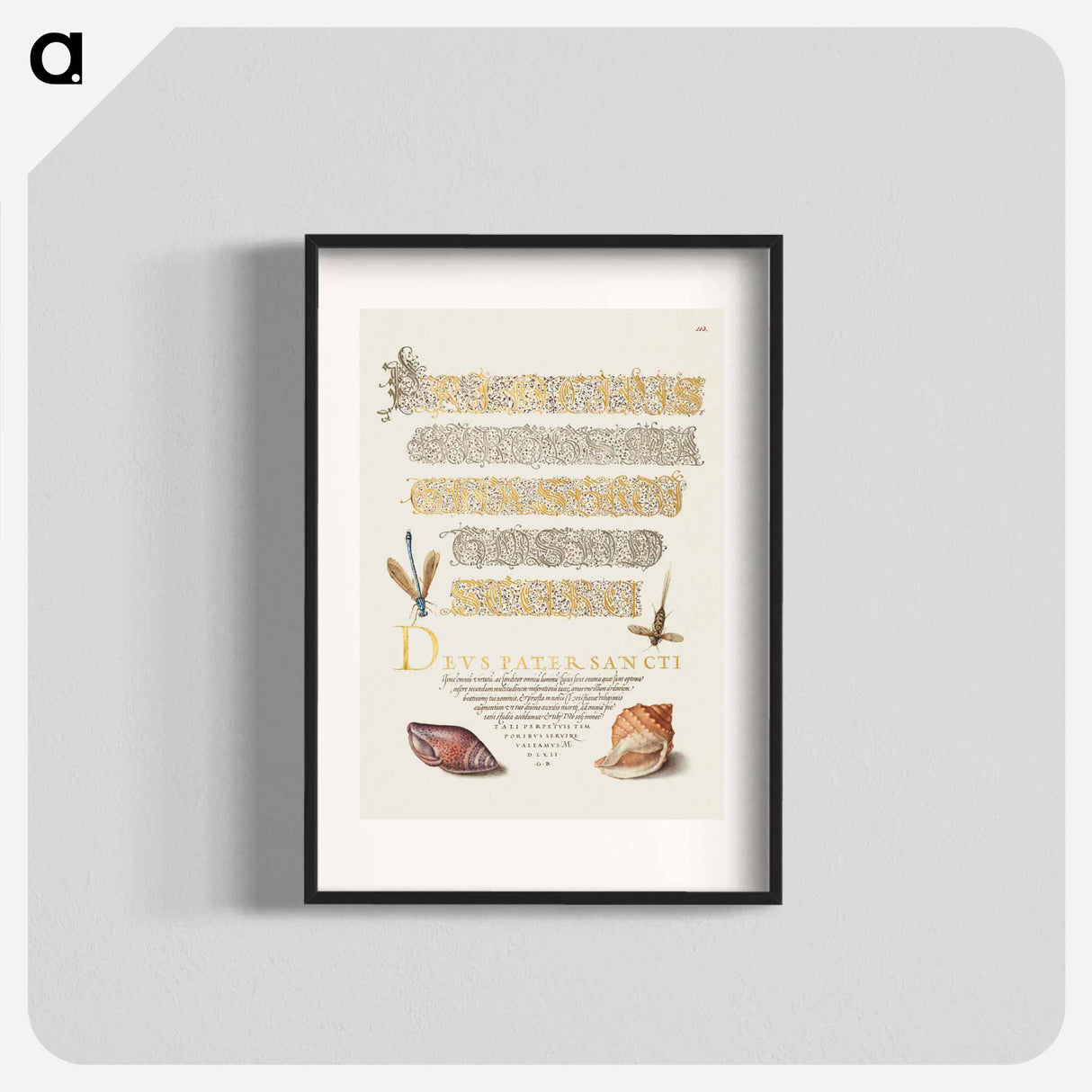アートポスター-Damselfly, Insect, and Marine Mollusks
 - 書道のお手本 Poster.