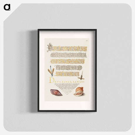 アートポスター-Damselfly, Insect, and Marine Mollusks
 - 書道のお手本 Poster.