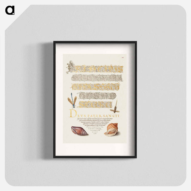 アートポスター-Damselfly, Insect, and Marine Mollusks
 - 書道のお手本 Poster.