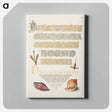 アートパネル-Damselfly, Insect, and Marine Mollusks
 - 書道のお手本 Canvas.