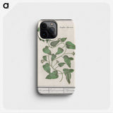 2-39_Anselmus-Boetius-de-Boodt_phone
