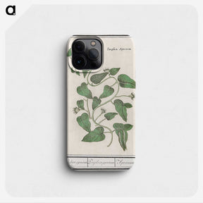 2-39_Anselmus-Boetius-de-Boodt_phone