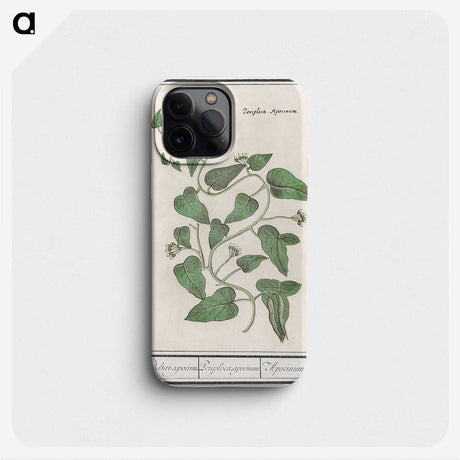 2-39_Anselmus-Boetius-de-Boodt_phone