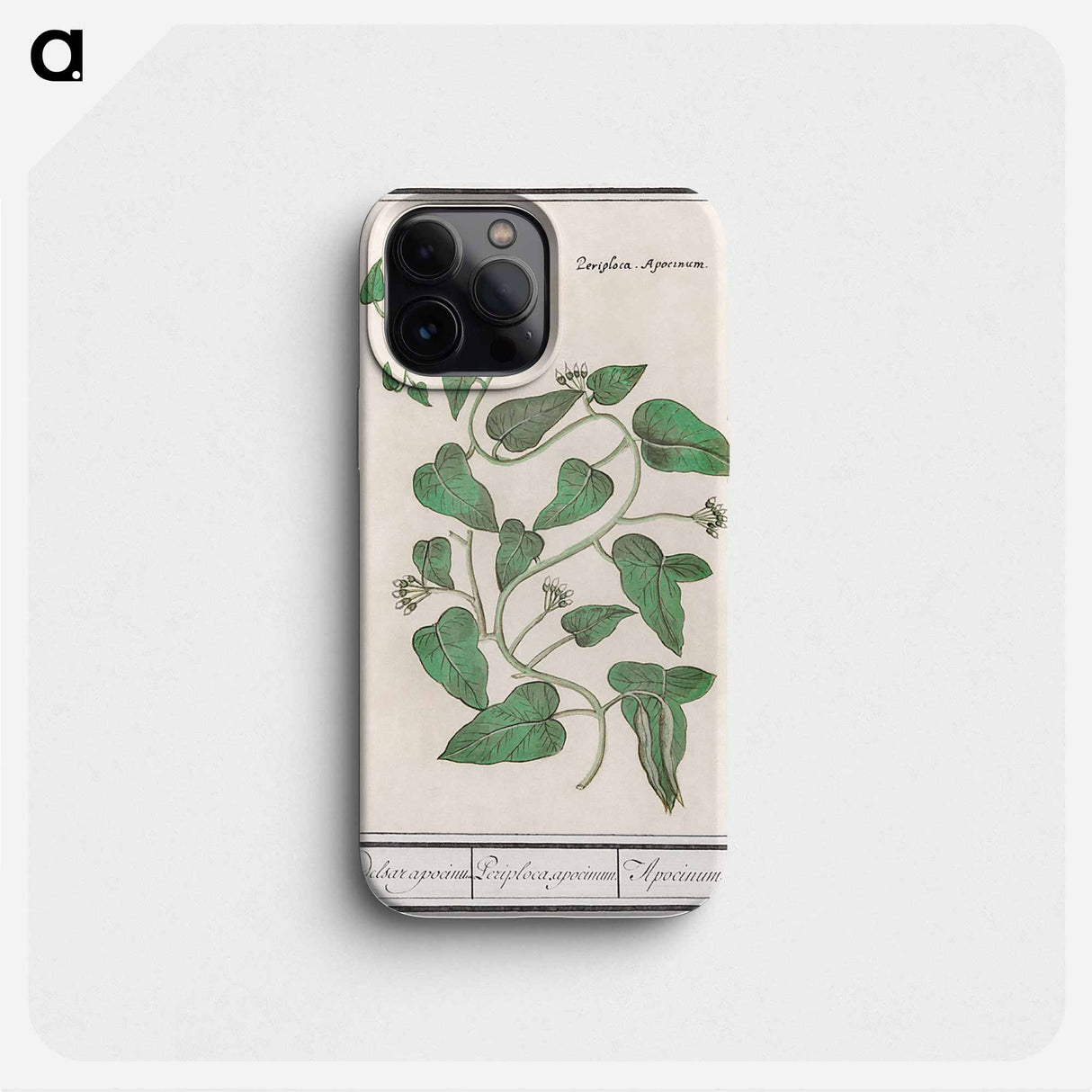 Apocynum - アンセルムス ボエティウス デ ブート Phone Case.
