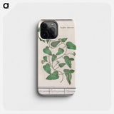 Apocynum - アンセルムス ボエティウス デ ブート Phone Case.