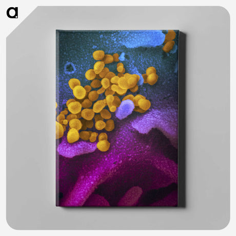 2-39_COVID-19_canvas