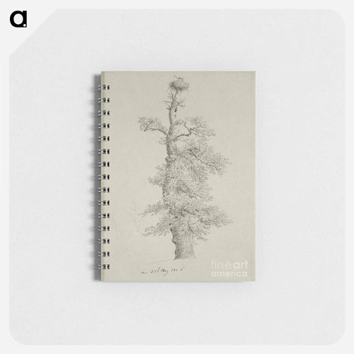 Ancient Oak Tree with a Storks Nest - カスパー ダーヴィト フリードリヒ Memo.