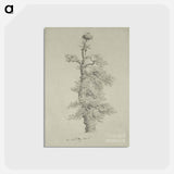 アートポストカード-Ancient Oak Tree with a Storks Nest - カスパー ダーヴィト フリードリヒ Postcard.