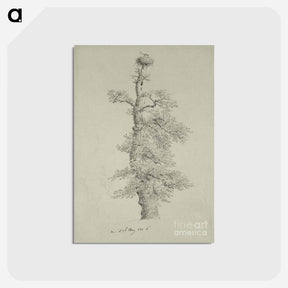 アートポストカード-Ancient Oak Tree with a Storks Nest - カスパー ダーヴィト フリードリヒ Postcard.