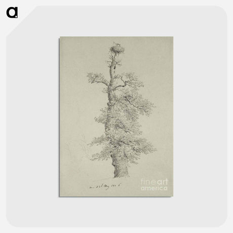 アートポストカード-Ancient Oak Tree with a Storks Nest - カスパー ダーヴィト フリードリヒ Postcard.