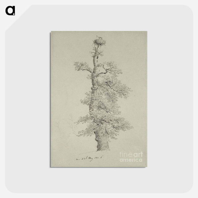 アートポストカード-Ancient Oak Tree with a Storks Nest - カスパー ダーヴィト フリードリヒ Postcard.