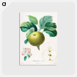 アートポストカード-Rambour d'été
 - クリーブランド美術館 Postcard.