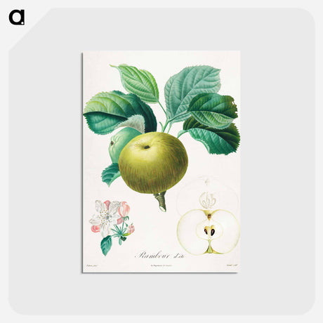 アートポストカード-Rambour d'été
 - クリーブランド美術館 Postcard.