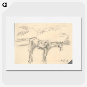 2-39_Cyprian-Majernik_picture