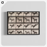 2-39_Eadweard-Muybridge_blk-crop