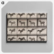2-39_Eadweard-Muybridge_canvas