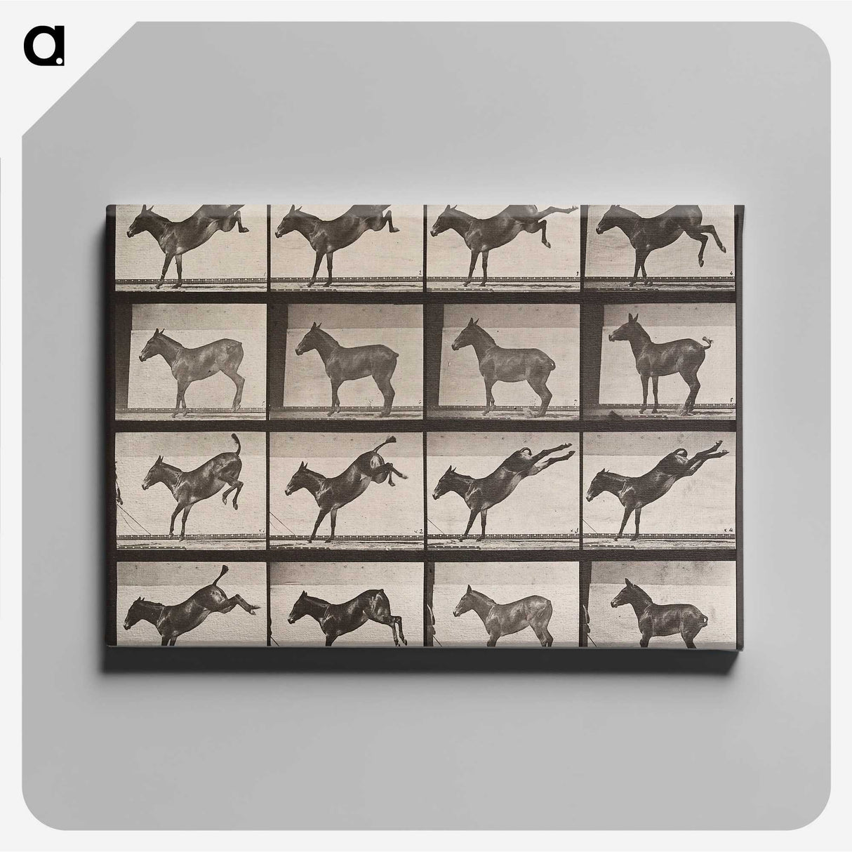 2-39_Eadweard-Muybridge_canvas