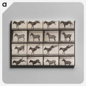 2-39_Eadweard-Muybridge_canvas
